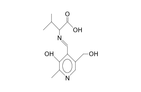 Pyridoxylidene-L-valine