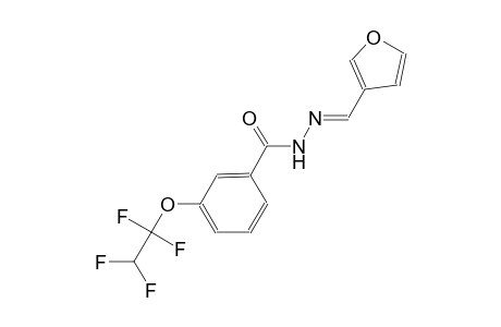 N'-[(E)-3-furylmethylidene]-3-(1,1,2,2-tetrafluoroethoxy)benzohydrazide