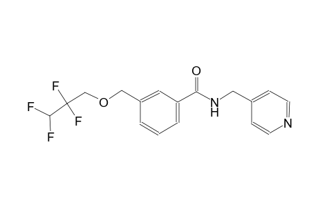 N-(4-pyridinylmethyl)-3-[(2,2,3,3-tetrafluoropropoxy)methyl]benzamide