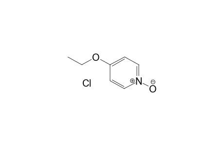 4-Ethoxypyridine 1-oxide hydrochloride