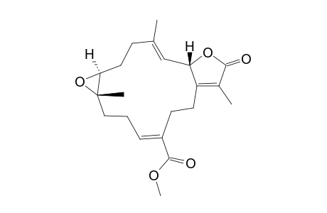 (+)-12-METHOXY-11-(Z)-SARCOPHINE