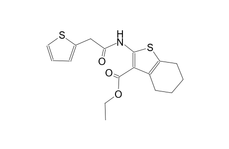 ethyl 2-[(2-thienylacetyl)amino]-4,5,6,7-tetrahydro-1-benzothiophene-3-carboxylate