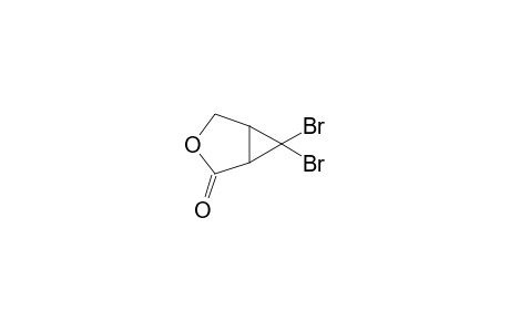 6,6-Dibromo-3-oxabicyclo[3.1.0]hexan-2-one