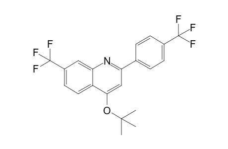4-tert-Butoxy-7-(trifluoromethyl)-2-[4-(trifluoromethyl)phenyl]quinoline
