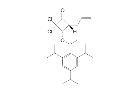 (3S,4R)-4-ALLYL-2,2-DICHLORO-3-[(S)-1-(2,4,6-TRIISOPROPYLPHENYL)-ETHOXY]-CYCLOBUTANONE