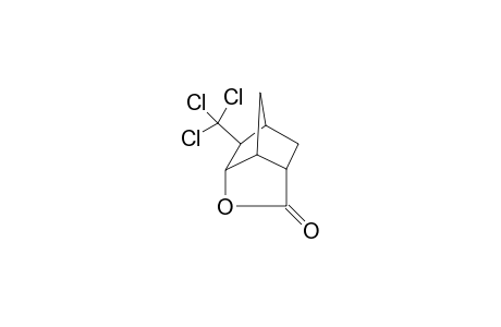 5-trichloromethylnorborornane-2,6-carbolactone