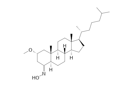 (2R,5R,8S,9S,10R,13R,14S,17R)-17-[(1R)-1,5-dimethylhexyl]-2-methoxy-10,13-dimethyl-1,2,3,5,6,7,8,9,11,12,14,15,16,17-tetradecahydrocyclopenta[a]phenanthren-4-one oxime