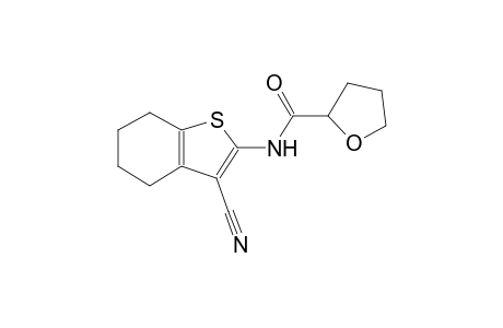 N-(3-cyano-4,5,6,7-tetrahydro-1-benzothien-2-yl)tetrahydro-2-furancarboxamide