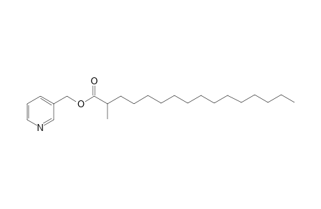 3-pyridylmethyl 2-methylhexadecanoate