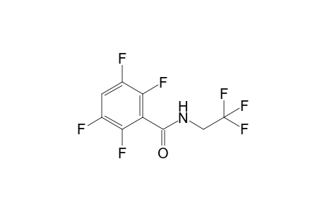 2,3,5,6-tetrafluoro-N-(2,2,2-trifluoroethyl)benzamide