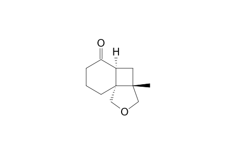 (3aS,4aS,8aR)-3a-methylhexahydro-1H-benzo[1,4]cyclobuta[1,2-c]furan-5(6H)-one