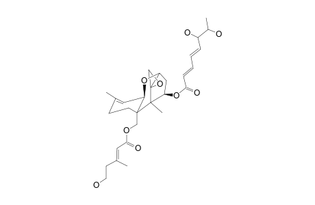 (2'E,4'Z)-ISOTRICHOVERRIN-A