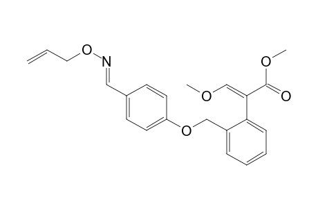 Benzeneacetic acid, alpha-(methoxymethylene)-2-[[4-[[(2-propenyloxy)imino]methyl]phenoxy]methyl]-, methyl ester, (?,E)-