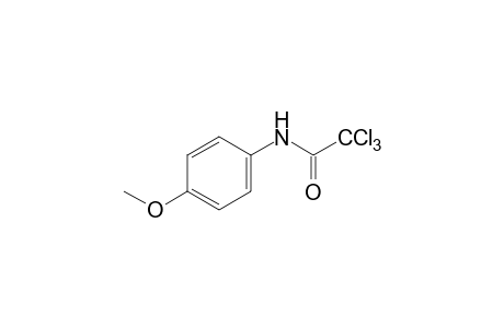 2,2,2-trichloro-p-acetanisidide