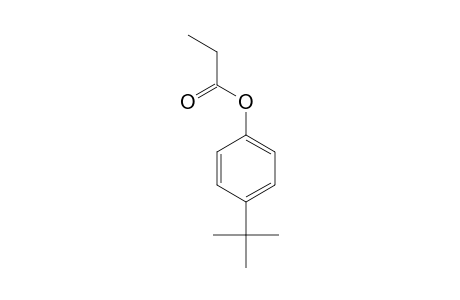 4-tert-Butylphenyl propionate