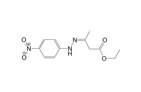 butanoic acid, 3-[(4-nitrophenyl)hydrazono]-, ethyl ester, (3Z)-