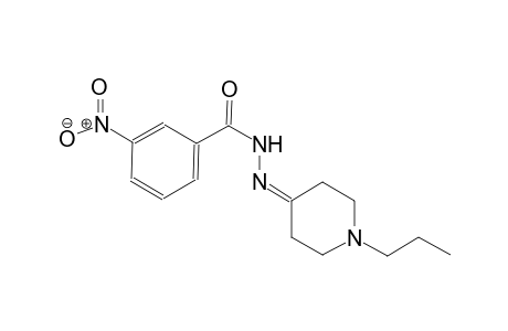 3-nitro-N'-(1-propyl-4-piperidinylidene)benzohydrazide