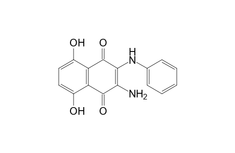 2-Anilino-3-amino-5,8-dihydroxy-1,4-naphthoquinone