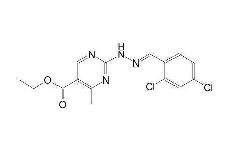 ethyl 2-[(2E)-2-(2,4-dichlorobenzylidene)hydrazino]-4-methyl-5-pyrimidinecarboxylate