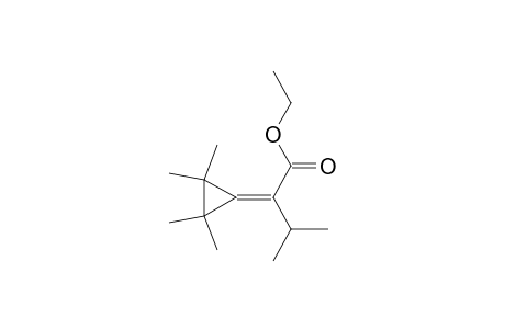 Butanoic acid, 3-methyl-2-(tetramethylcyclopropylidene)-, ethyl ester