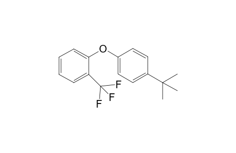 1-(4-(tert-butyl)phenoxy)-2-(trifluoromethyl)benzene