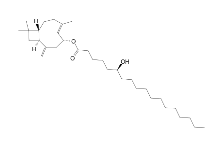 (1R,6R,9S)-6-Hydroxycaryophyllenyl (S)-6-hydroxystearate