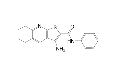 thieno[2,3-b]quinoline-2-carboxamide, 3-amino-5,6,7,8-tetrahydro-N-phenyl-
