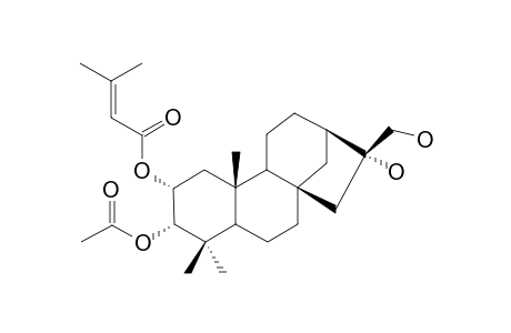 16R-2-ALPHA-(3-METHYL-2-BUTENOYLOXY)-3-ALPHA-ACETOXYPHYLLOClADANE-16,17-DIOL