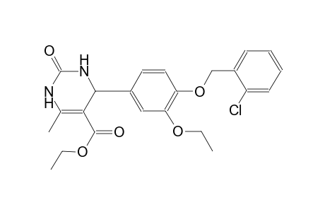 ethyl 4-{4-[(2-chlorobenzyl)oxy]-3-ethoxyphenyl}-6-methyl-2-oxo-1,2,3,4-tetrahydro-5-pyrimidinecarboxylate