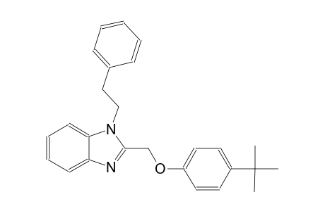 2-[(4-tert-butylphenoxy)methyl]-1-(2-phenylethyl)-1H-benzimidazole