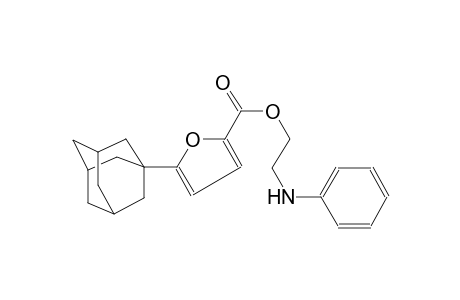 2-anilinoethyl 5-(1-adamantyl)-2-furoate