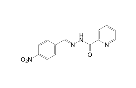 picolinic acid, (p-nitrobenzylidene)hydrazide