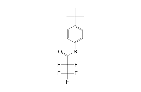 4-Tert-butylbenzenethiol, S-pentafluoropropionyl-