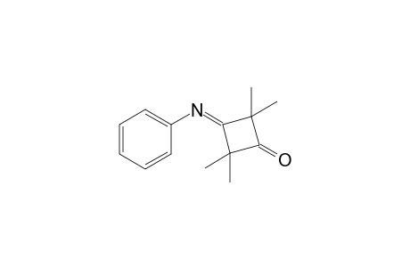 2,2,4,4-tetramethyl-3-phenylimino-1-cyclobutanone