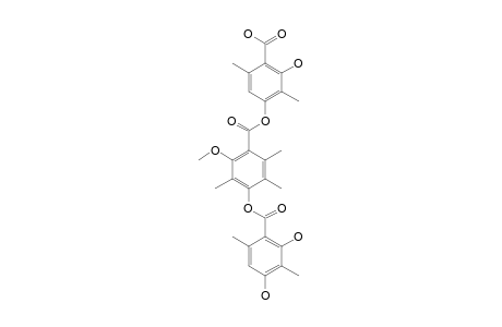 THIELAVIN-J;4-[4'-(2'',4''-DIHYDROXY-3'',6''-DIMETHYLBENZOYLOXY)-3',5',6'-TRIMETHYL-2'-METHOXYBENZOYLOXY]-2-HYDROXY-3,6-DIMETHYLBENZOIC-ACID