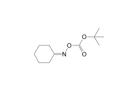O-(tert-Butoxycarbonyl)-N-cyclohexylidene oxime