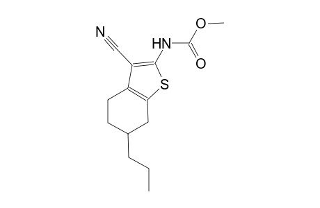 methyl 3-cyano-6-propyl-4,5,6,7-tetrahydro-1-benzothien-2-ylcarbamate
