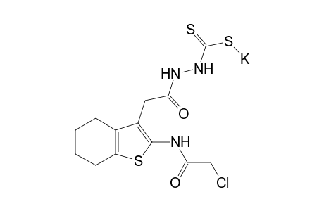 N'-[2-(2-Chloro-acetylamino)-4,5,6,7-tetrahydro-benzo[b]thiophen-3-yl]-hydrazine carbodithioic potassium salt