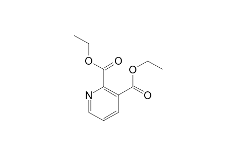 2,3-Pyridinedicarboxylic acid, diethyl ester