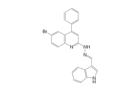 1H-indole-3-carbaldehyde (6-bromo-4-phenyl-2-quinolinyl)hydrazone