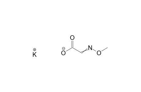 Acetic acid, (methoxyimino)-, potassium saltGlyoxylic acid, O-methyloxime, potassium salt