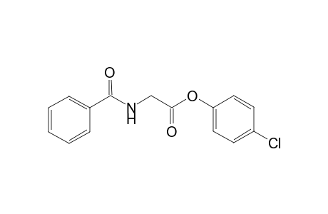 Hippuric acid 4-chlorophenyl ester