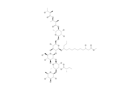 PM-7;METHYL_3-S,11-S-DIHYDROXYTETRADECANOATE_11-O-BETA-D-QUINOVOPYRANOSYL-(1->4)-O-(3-O-2-S-METHYLBUTYRYL)-ALPHA-L-RHAMNOPYRANOSYL-(1->2)-O-BETA