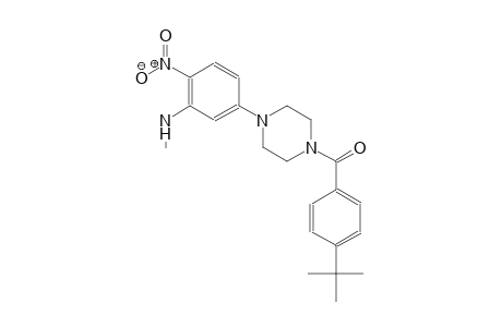 N-{5-[4-(4-tert-butylbenzoyl)-1-piperazinyl]-2-nitrophenyl}-N-methylamine