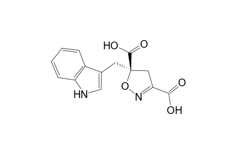 (3R)-5-[(3'-Indolyl)methyl]-4,5-dihydroisoxazole-3,5-dicarboxylic Acid