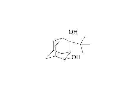 2(a)-t-butyladamantane-2(e),4(e)-diol