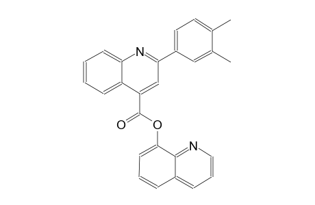 8-quinolinyl 2-(3,4-dimethylphenyl)-4-quinolinecarboxylate