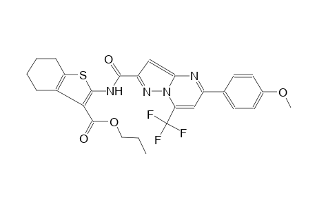 propyl 2-({[5-(4-methoxyphenyl)-7-(trifluoromethyl)pyrazolo[1,5-a]pyrimidin-2-yl]carbonyl}amino)-4,5,6,7-tetrahydro-1-benzothiophene-3-carboxylate