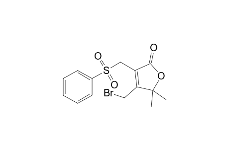 3-(benzenesulfonylmethyl)-4-(bromomethyl)-5,5-dimethyl-2-furanone