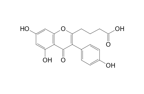 4-[3-(4-hydroxyphenyl)-5,7-bis(oxidanyl)-4-oxidanylidene-chromen-2-yl]butanoic acid
